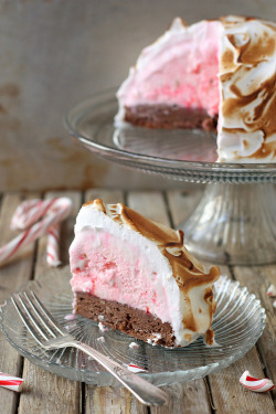 foodopia:  brownie and candy cane ice cream baked alaska: recipe