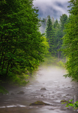 woodendreams:  (by Michael Flaherty) 