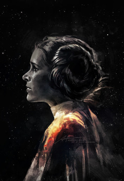 sleemo: alicexz:  The Last Daughter of Alderaan. My tribute