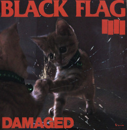 blackdogarmageddon:  …zseniális lemezek, zseniális borítói