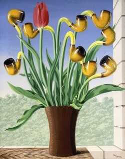 lonequixote:The Culture of Ideas ~ Rene Magritte