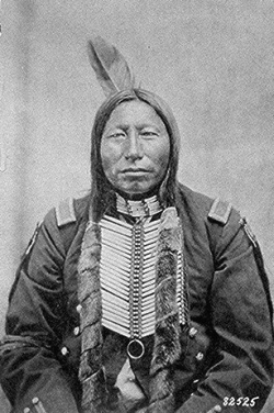  David F. Barry     Crow King, Hunkpapa Lakota, Fort Buford,