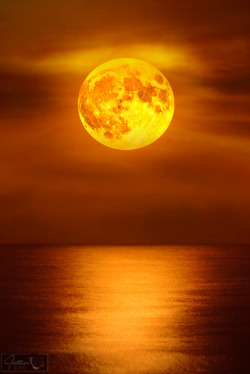drxgonfly:  Moonlight Reflections over Palm Beach, Florida (by