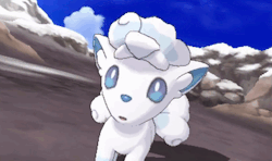 shinycaterpie:  Vulpix and Ninetales - Alola Forms   (fangirl