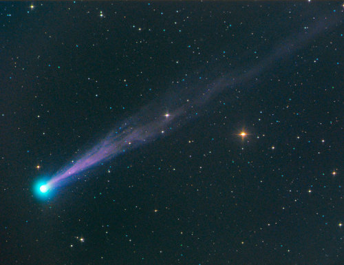 the-wolf-and-moon:Comet Swan