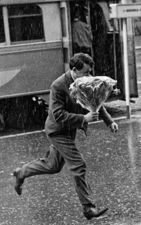 henk-heijmans:Flowers in the rain, Sarajevo, 1963 - by Tomislav