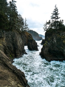 expressions-of-nature:  Pacific Northwest by David Kovalenko