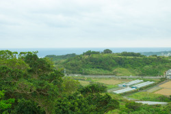 okinawa-photo:  カフェベジタリカからの風景。 農道と森の先に海が見える。