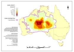 mapsontheweb:  Population Density of Camels in Australia.