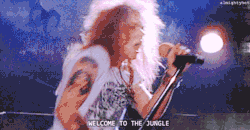 trevos0s:  Welcome to the jungle ♥  
