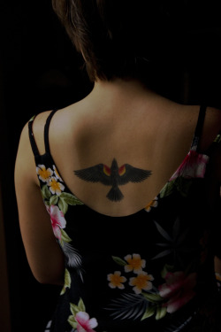 fuckyeahtattoos:  I’m Kit, and this is my red-winged blackbird