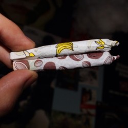 weedporndaily:  Banana and coconut #JuicyJay #joints #weedporndaily