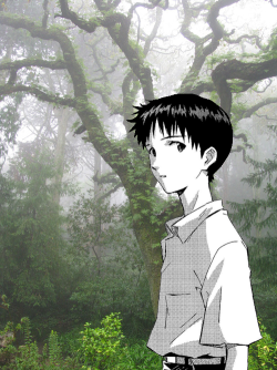 shinji-cum:  ☼Aesthetics and anime☼ (not mine) NGE