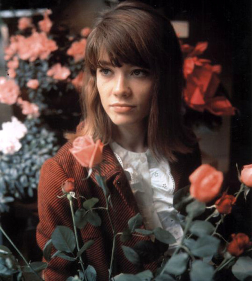 gaiatettamanti: Françoise Hardy 