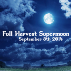 wiccateachings:  Tonight is a the Full Harvest Supermoon, the