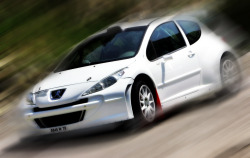 fernandomoutinho:  Peugeot 207 Super 2000