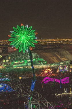 ravememes:  EDC Las Vegas 2013