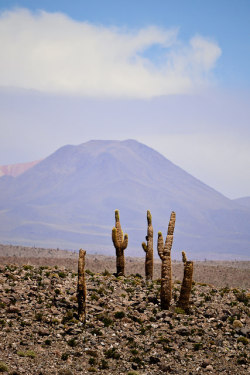 jgmm: Machuca y alrededores on Flickr. 