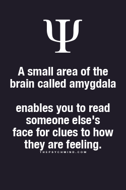 ThePsychMind