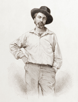 Walt Whitman, Age 37, Steel Engraving by Samuel Hollyer from