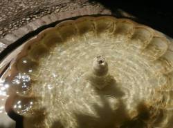 arjuna-vallabha:  Fountain at Alhambra, Granada, Spain