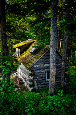lori-rocks:  Forest Cabin, Girdwood, Alaska
