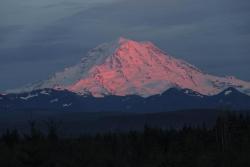 amazinglybeautifulphotography:  Mount Rainier at Sunset [OC]