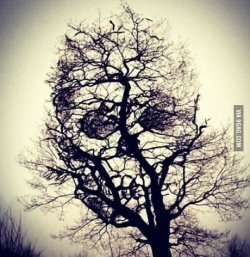 9gag:  Hmm… is this a sign? 