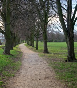 wanderthewood:  A path near the River Avon at Evesham, Worcestershire,