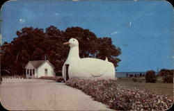 apeninacoquinete:  The Big Duck, Flanders Long Island, New York