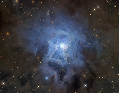 just–space:  NGC 7023: The Iris Nebula : These cosmic clouds