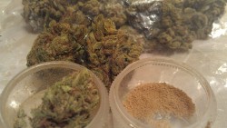 cannabisblisss:  Got ฤ of some indoor kush again, plus a free