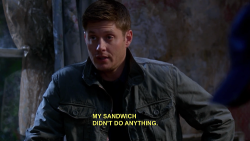 shia-laclothed:  That’s an actual line from Supernatural 