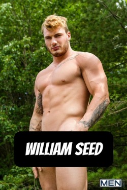 WILLIAM SEED at MEN  CLICK THIS TEXT to see the NSFW original.