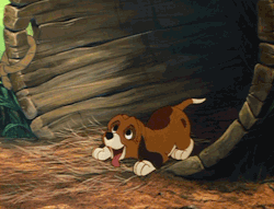 dfilms:  The Fox And The Hound, 1981