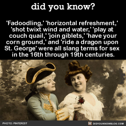 did-you-kno:  ‘Fadoodling,’ ‘horizontal refreshment,’