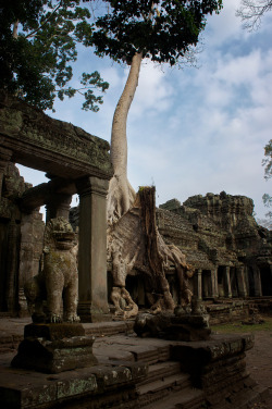 visitheworld:   	  Preah Khan, Angkor / Cambodia (by Maxime