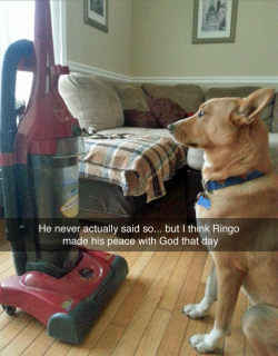 tastefullyoffensive:  [gypsy_child] 