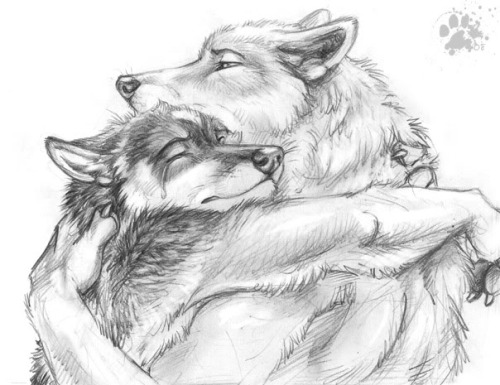 thecleanestfurryart:  am i crying..? i think i’m crying ;-;