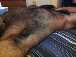 Hairy and dam sexy  WOOF