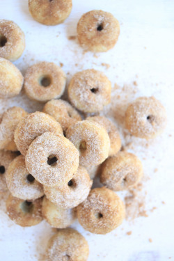 fullcravings:Baked Mini Pomegranate Cider Doughnuts