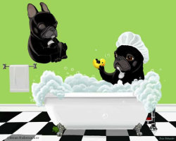 artprintsoflimppimps:  Bath Time - French Bulldog Frenchie Dog