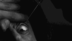 Passeggero Oscuro