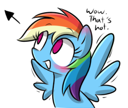 heck-yeah-mary:  Reblog and Rainbow Dash will get a wingboner