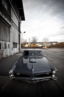 gentlecar:  Pontiac GTO