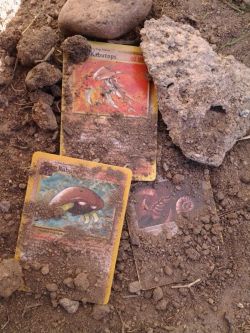 trainerdaniels-pokeblog:  Mysterious Fossils  