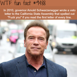 wtf-fun-factss:  Arnold Schwarzenegger - WTF fun fact