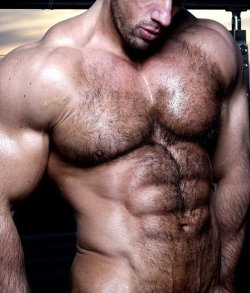 malemayhem:    