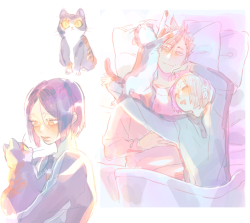 mookie000:  kuroo brings home a stray cat- Kenma tells kuroo