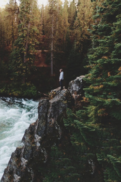  VINTAGE AND NATURE 